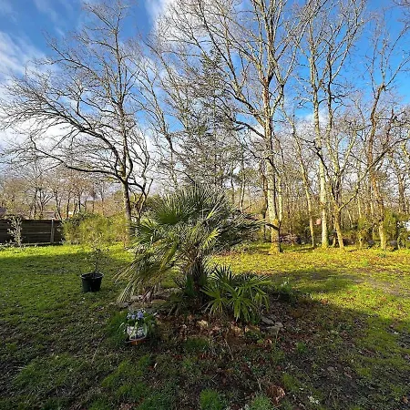 בית נופש 4 Pieces, 3 Chambres, Grand Terrain Paysage *